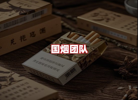 国烟团队